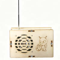 Wooden DIY Radio Kit